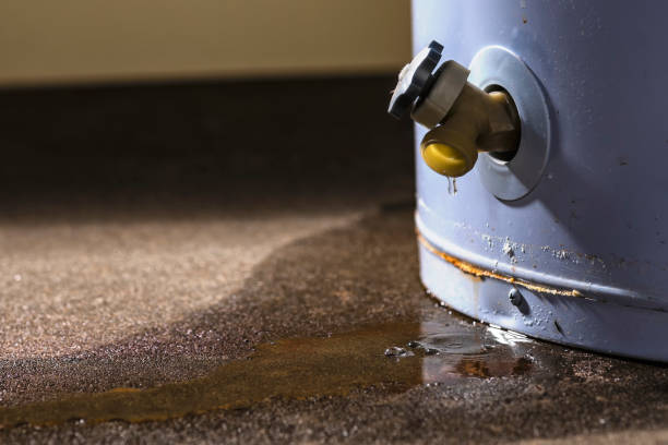 Best Carpet water damage restoration  in Arvin, CA