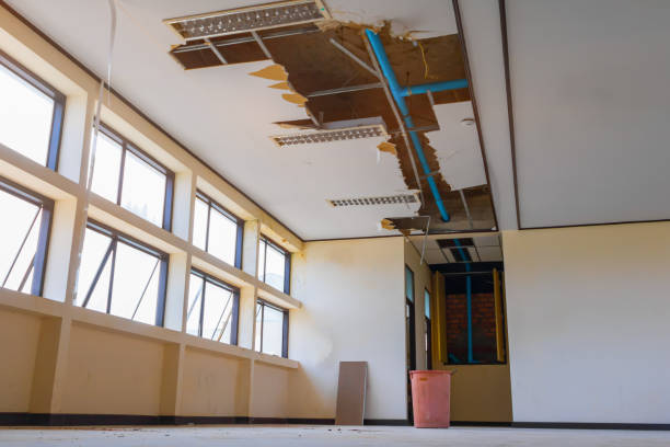 Best Mold removal after water damage  in Arvin, CA