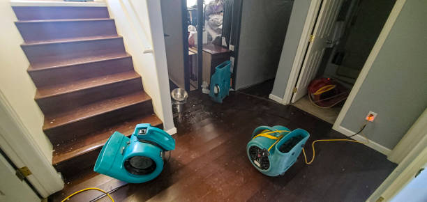 Best Flood damage cleanup  in Arvin, CA
