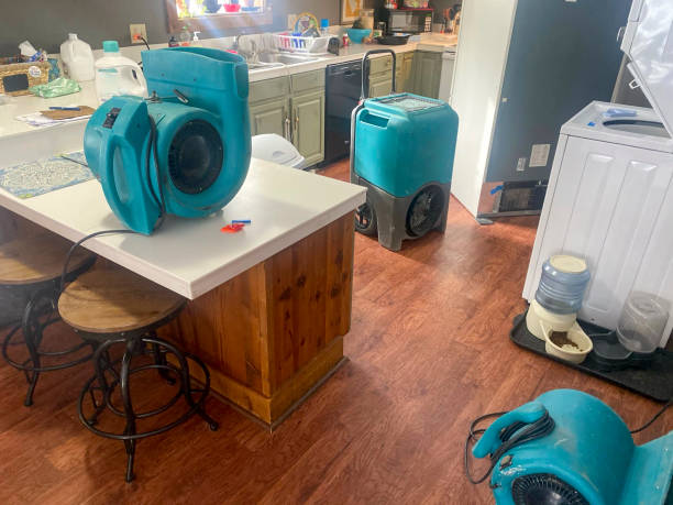 Water damage restoration mold remediation in CA