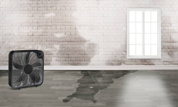 Best Water damage restoration near me  in Arvin, CA