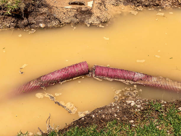 Best Water damage mitigation services  in Arvin, CA