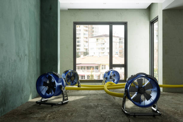 Best Water damage restoration specialists  in Arvin, CA