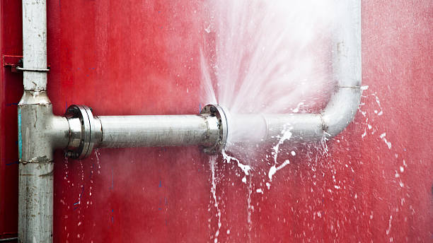 Best Professional water damage repair  in Arvin, CA